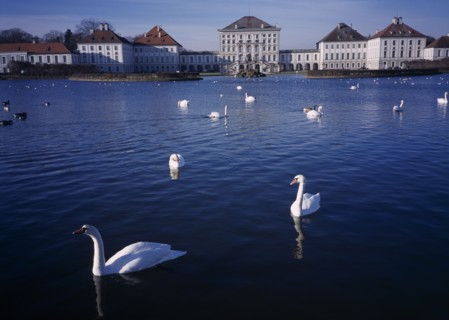 GERMANY, Bavaria, Munich, Swans on the lake at the Nymphenberg Palace.
