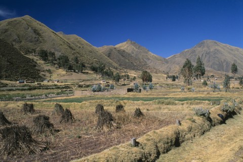 PERU, Puno Administrative Department, La Raya, "View from the train on the altiplano.  Agricultural