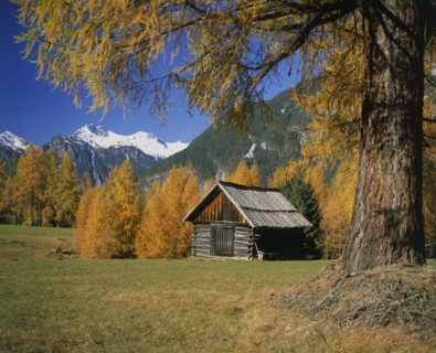 AUSTRIA, Tyrol, General, Wooden barn surrounded by trees in autumn colours with mountains beyond.
