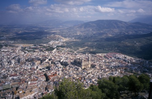 SPAIN, Andalucia, Jaen Province, View over trees to Jaén with the cathedral in the centre and