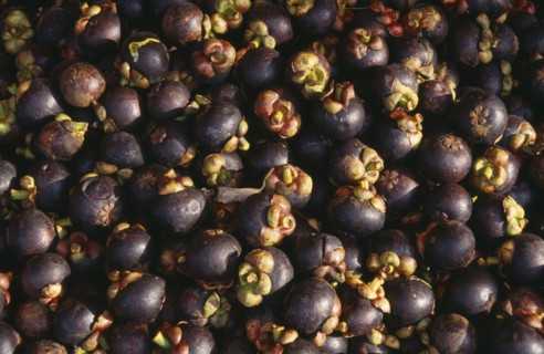 MALAYSIA, Kedah, Langkawi, Mangosteen fruits at The Night Market in Kuah