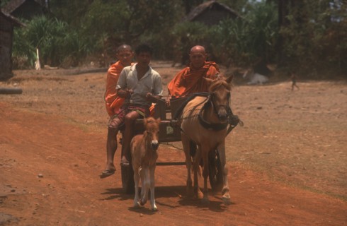 CAMBODIA, Religion, Monks on a horse drawn cart on National Route 6 to Kompong Thom.