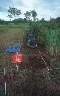 CAMBODIA, Battambang, Mine clearing along Route 10 to Palin