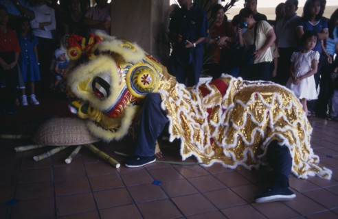 MALAYSIA, Kedah, Langkawi, Chinese New Year Dragon Dance with tourists watching the Dragon