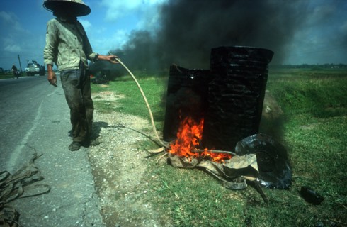 VIETNAM, Work, Road builder working on the road between Hanoi and Haiphong.