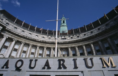 ENGLAND, London, Looking up at curved Aquarium exterior and name sign on the County Hall building