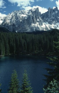 ITALY, Trentino-Alto Adige, Dolomites, Conifer trees lining Lake Carezza below Mount Latemar