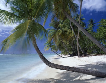 WEST INDIES, Tobago, Pigeon Point, "View along empty, sandy beach with aquamarine water and