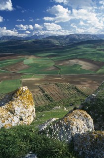 SPAIN, Andalucia, Malaga Province, "View over plain towards distant hills.  Large, lichen covered