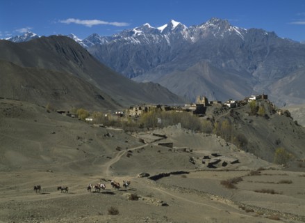 NEPAL, Annapurna Region, Jharkot, View over high altitude desert towards ruined fort and town near