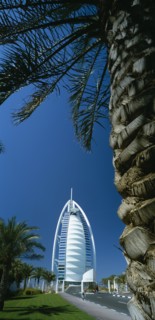 UAE, Dubai, The Jumeirah Beach Hotel with palm tree trunk in the foreground.