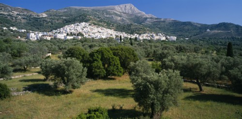 GREECE, Cyclades Islands, Naxos, View over olive trees towards white painted village and mountains