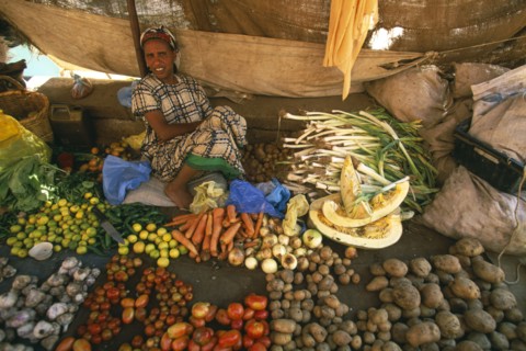 ETHIOPIA, Harerge Province, Harer, Market outside the city walls.  Female vendor sitting behind