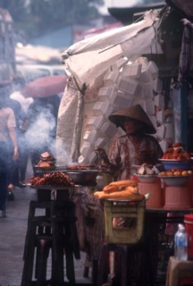 VIETNAM, Mekong Delta, Vinh Long, Woman cooking various meat dishes at a roadside market stall.
