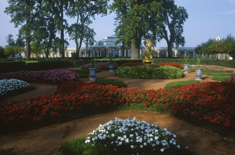 RUSSIA, St. Petersburg, Peterhof Palace grounds.  View over formal gardens and borders with red and