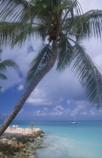 WEST INDIES, Antigua, Dickenson Bay, Narrow spit of land fortified by rocks with people sunbathing