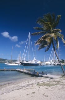 WEST INDIES, Antigua, Falmouth Harbour, Wooden jetty under leaning palm tree extended into harbour