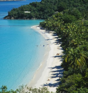 WEST INDIES, US Virgin Islands, St Johns, "Trunk Bay. View over tree covered coastline with bright