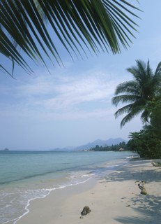 THAILAND, Trat Province, Koh Chang, Kai Bae Beach view along the coast framed by palm leaves.