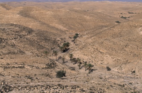 TUNISIA, Near Tataouine, Very dry landscape with dried up river indicated by palm trees.