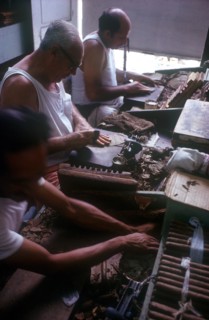 CUBA, Sancti Spiritus, Trinidad, Three men rolling cigars in a small factory