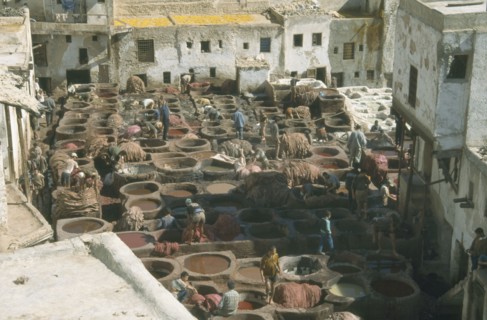 MOROCCO, Atlas Mountains, Fes, Chouras tanneries. View over workers and large dye vats.