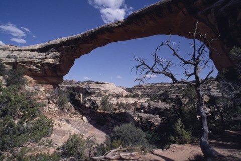 USA, Utah, San Juan, Natural Bridges National Monument. View of Owachomo Bridge spanning 180ft over