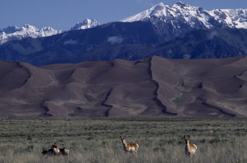 USA, Colorado, Saguache, Great Sand Dunes National Monument. Snow capped mountain landscape behind