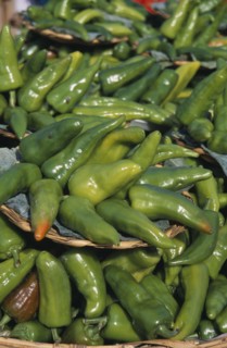 MEXICO, Oaxaca, Oaxaca City, Close view of green chillies displayed at market.