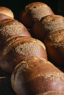 MEXICO, Oaxaca, Oaxaca City, Close view of loaves of bread with sesame seeds scattered over crust.
