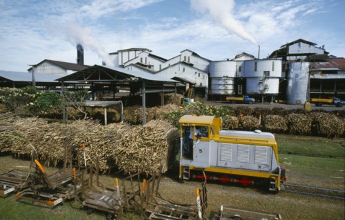 PACIFIC ISLANDS, Melanesia, Fiji, "Viti Levu, south. Sugar cane refinery with train loaded with cut