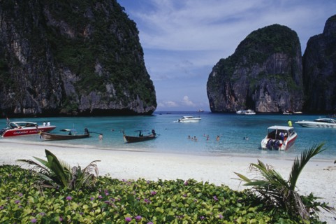 THAILAND, Krabi Province, Ko Phi Phi Leh , Maya Bay.  View over purple flowers towards white sand