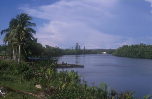 BRUNEI, Brunei River, View along broad stretch of river lined by jungle with man working on boat