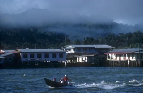 BRUNEI, Bandar Seri Begawan, Morning mist rising from the jungle behind the kampong stilt house