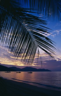 MALAYSIA, Penang, Batu Ferringhi, Beach framed by palm fronds silhouetted at sunset with streaked
