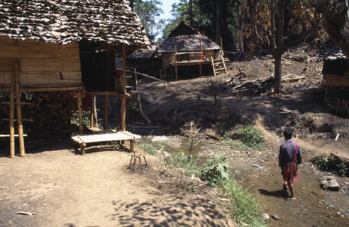 THAILAND, North, Mae Sariang, Young Karen refugee man walking in shallow stream toward wood and
