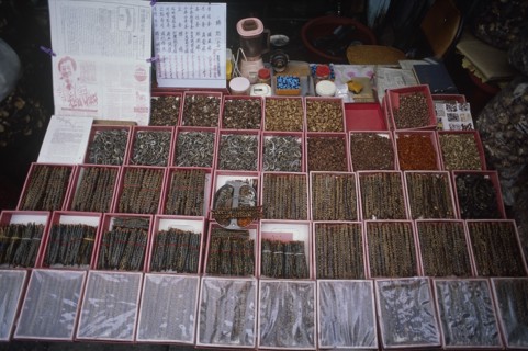 KOREA, South, Chejudo Island, "Dried centipedes, reptiles and other insects on sale in a street