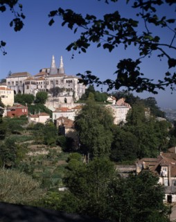 PORTUGAL, Estremadura, Sintra, Royal Palace on hilltop framed by tree branch with twin chimneys
