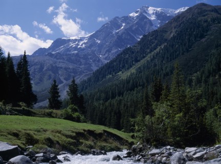ITALY, Trentino, Suldental, "Landscape with Mount Ortler (3905 m) in background, densely wooded