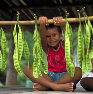 THAILAND, South, Phuket, Seated smiling small boy in red T-shirt holding a pole with hanging green