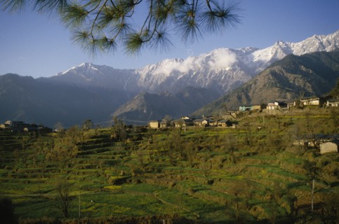 INDIA, Himachal Pradesh, Dharamsala, View of town overlooking terraces backed by snow capped