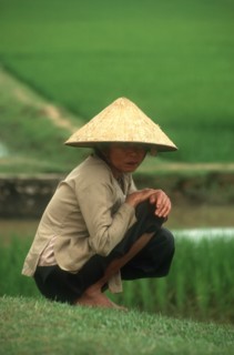 VIETNAM, Thanh Hoa, Woman in conical hat with paddy fields behind her.