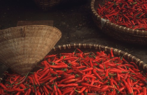 VIETNAM, Hanoi, Large shallow baskets of red chilli peppers at Hanoi market.