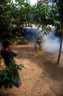 VIETNAM, Ho Chi Minh City, Young boy putting his fingers in his ears to block out the sound of