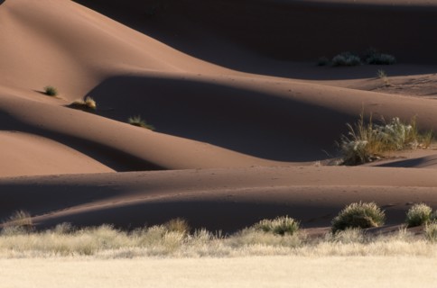 NAMIBIA, Namib Desert, Red sand dune desert landscape.