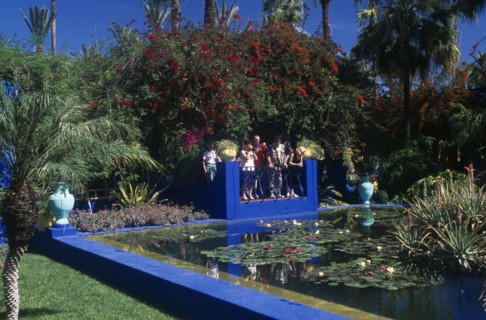 MOROCCO, Marrakech, The Jardin Majorelle . Ornamental garden with visitors