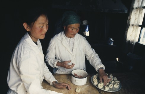 MONGOLIA, People, Making Buuz steamed minced lamb dumplings.