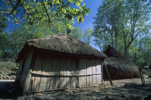 INDONESIA, Timor, Kefemenanu, Traditional home with straw roof