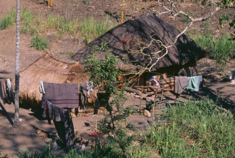 INDONESIA, Timor, Kefemenanu, Traditional home with straw roof