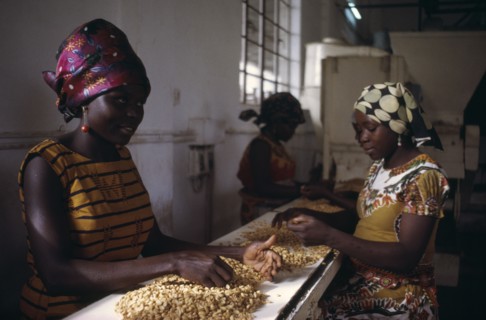 NIGERIA, Kano, Women working in groundnut oil factory.